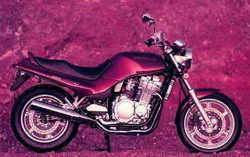 Suzuki GSX 1100G 1991